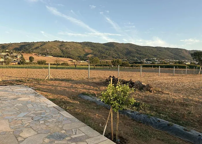 Bem Estar 3 Apartment